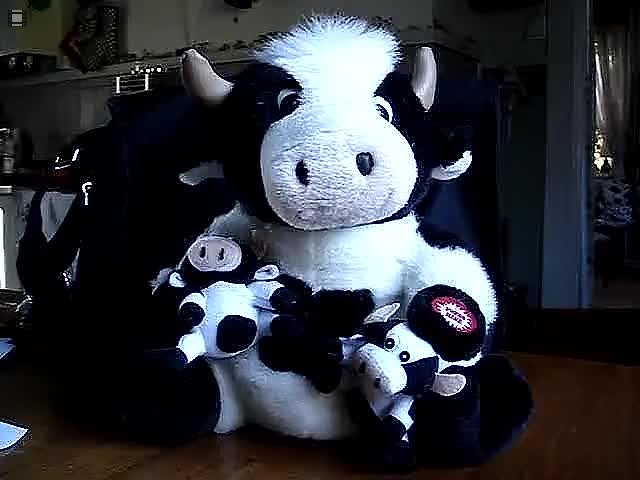 got_milk