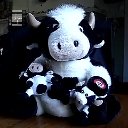 got_milk.mp4