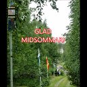 midsommar_2017.mp4